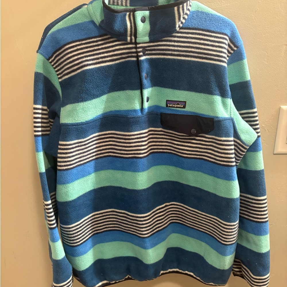 Patagonia Synchilla Blue and Green Fleece